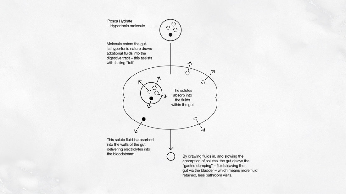 Hypertonicity explained