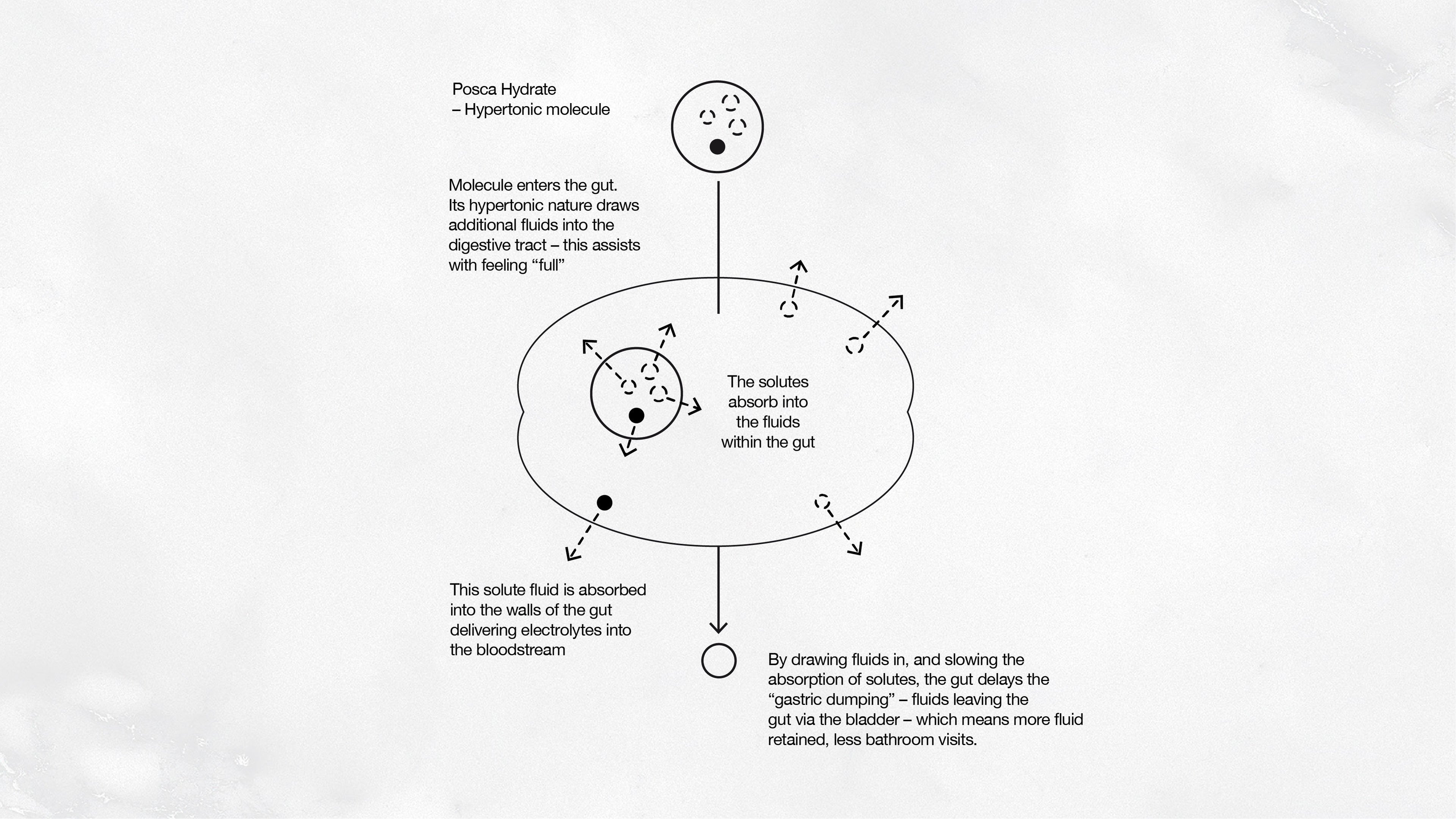 Hypertonicity explained