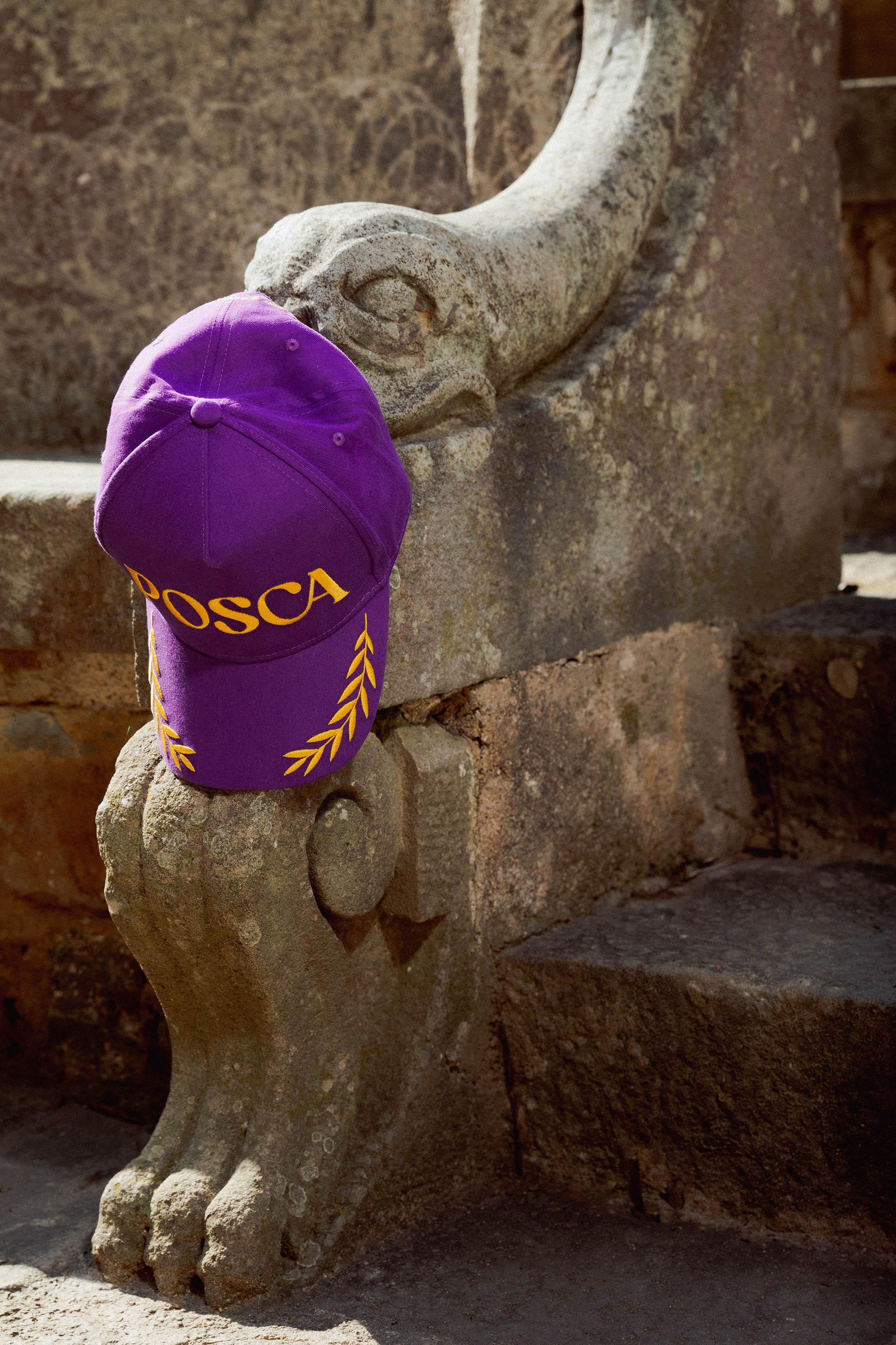 Posca Laurel Snapback – Purple