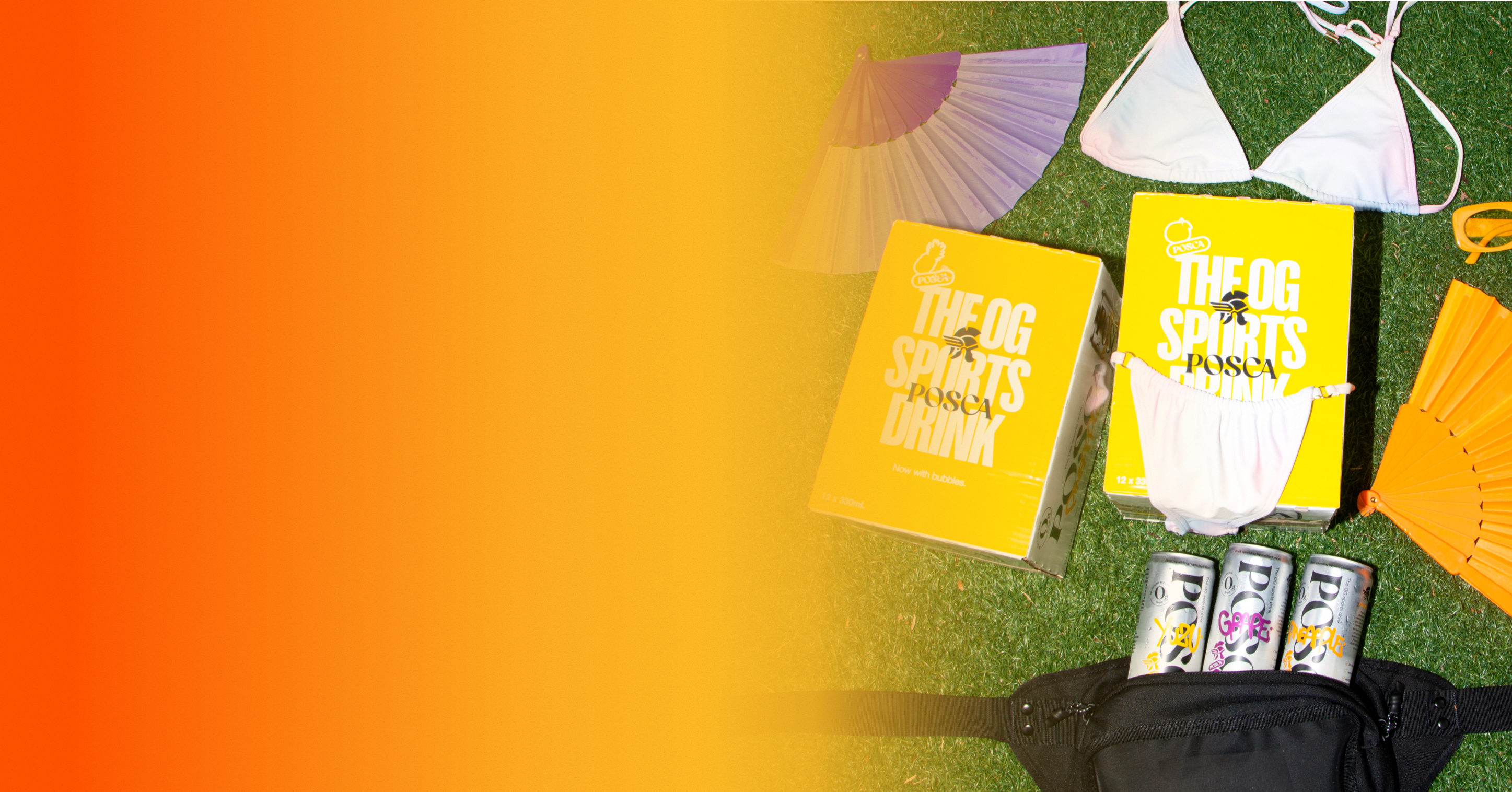 Yellow boxes with text on a grassy background